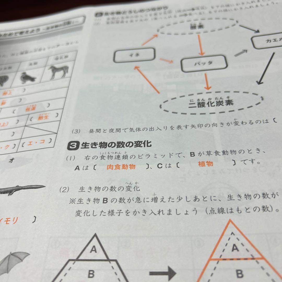ああ　サピックス　SAPIX 4年　理科　重要暗記教材‼️一年分フルセット　希少