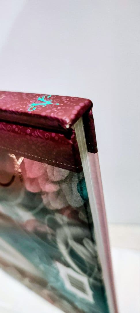 Nicoletta Ceccoli　ニコレッタ・チェッコリ　画集　初版