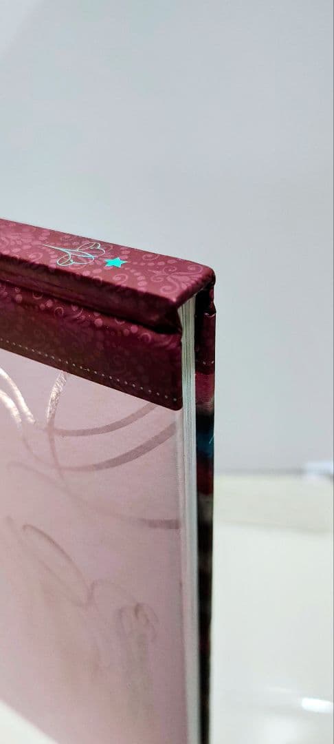 Nicoletta Ceccoli　ニコレッタ・チェッコリ　画集　初版