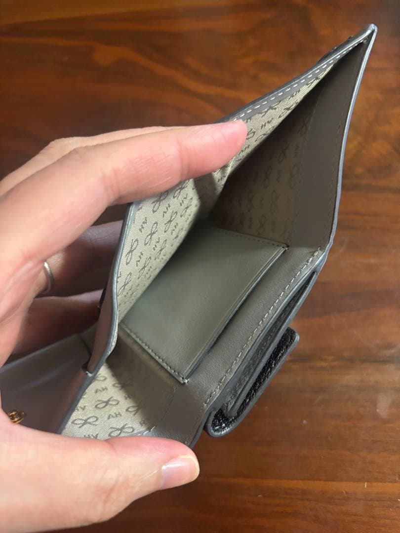 アニヤハインドマーチ　ウォレット