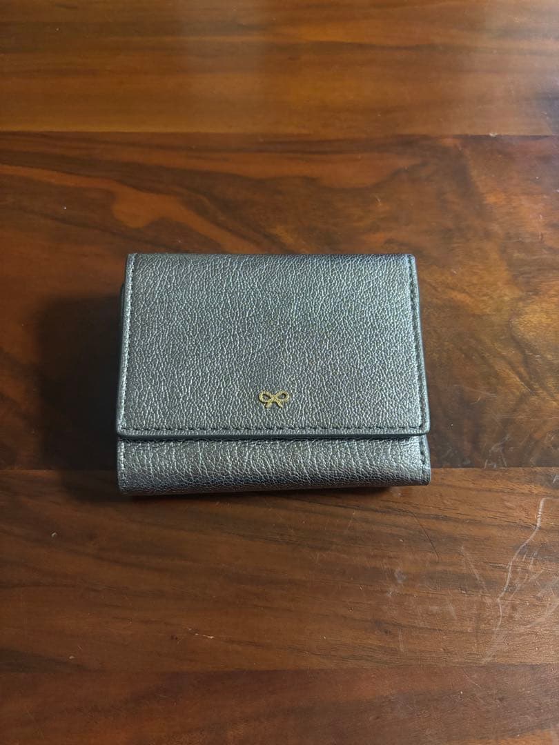 アニヤハインドマーチ　ウォレット