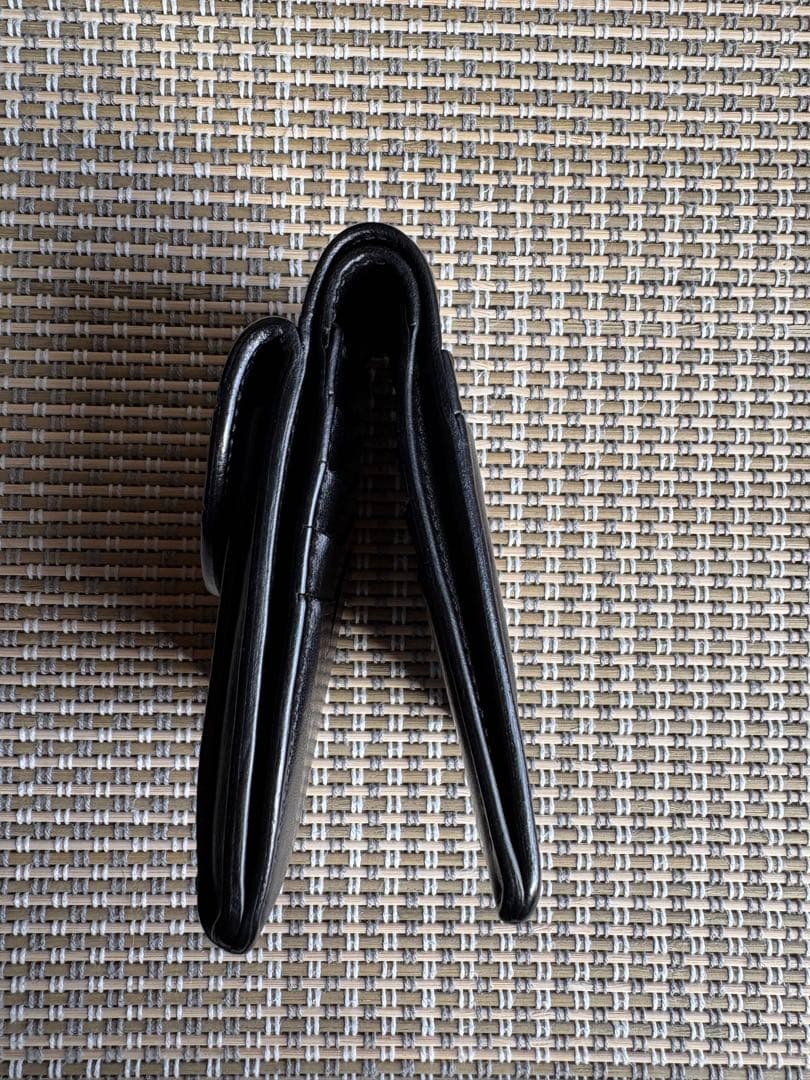 FRANTZ フランツ　WILDSWANS ワイルドスワンズ