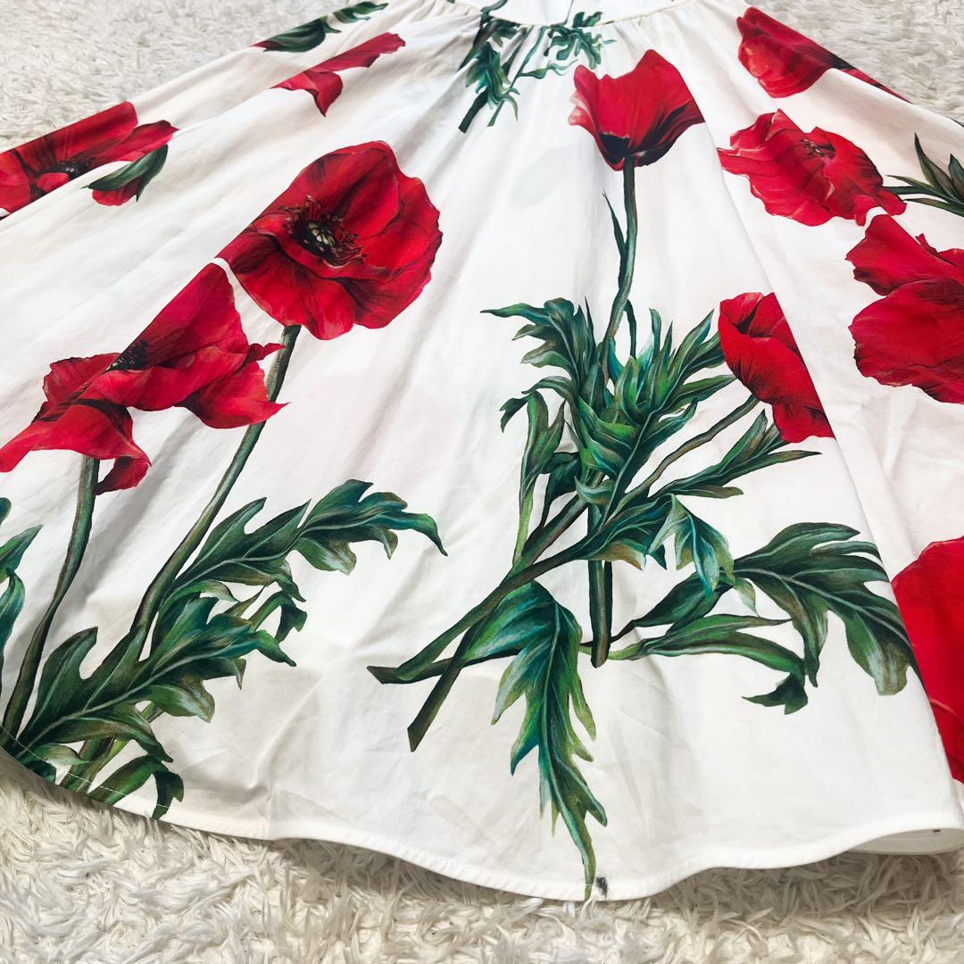 DOLCE&GABBANA ポピーサークル ポプリンドレス 花柄 42