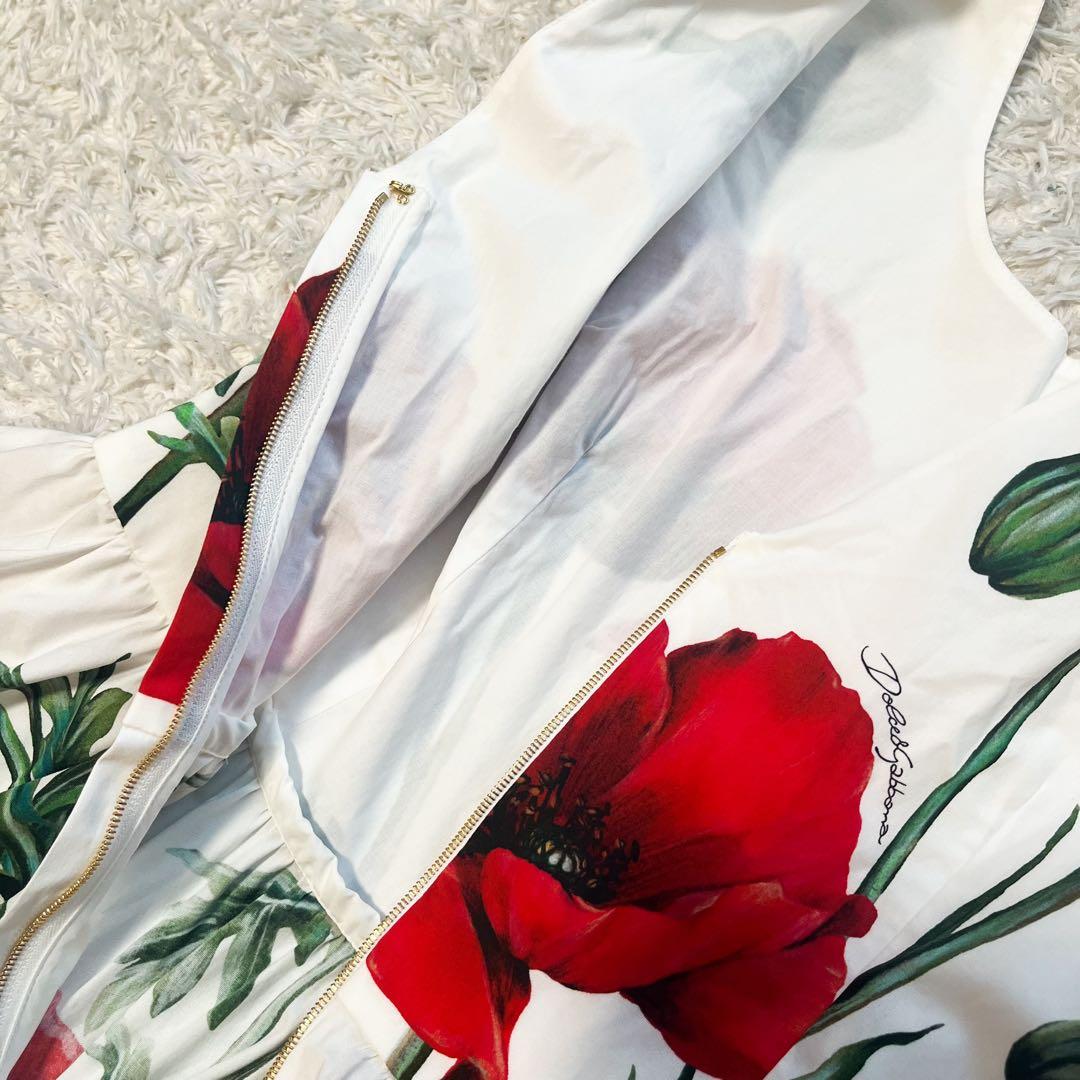 DOLCE&GABBANA ポピーサークル ポプリンドレス 花柄 42