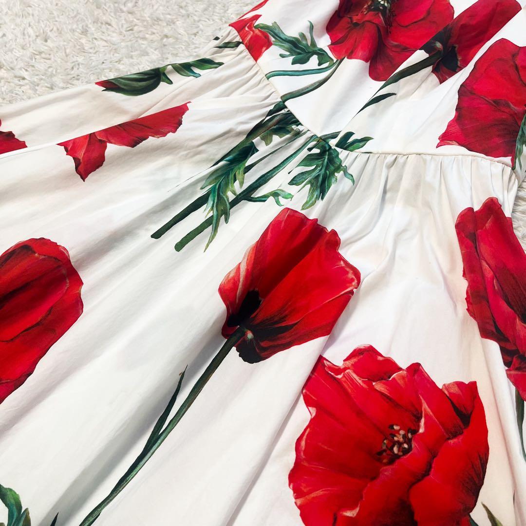 DOLCE&GABBANA ポピーサークル ポプリンドレス 花柄 42