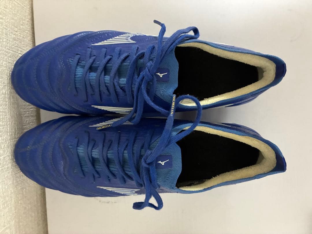 モレリアネオ3β MIX 26センチ　値段交渉⭕️