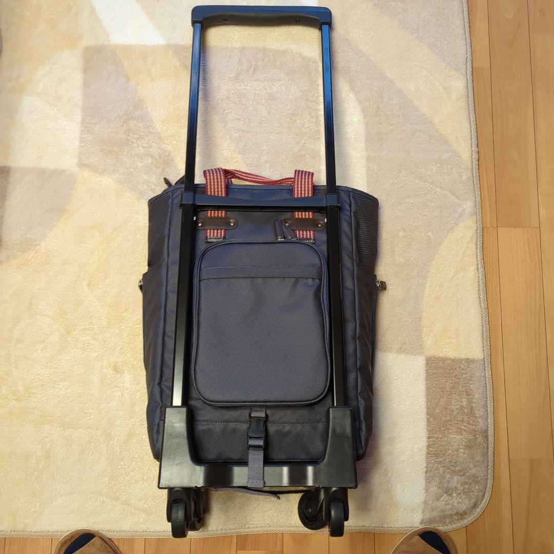 スワニー　SWANY 　キャリーバック　D-169ドゥマーノ(L21)ネイビー