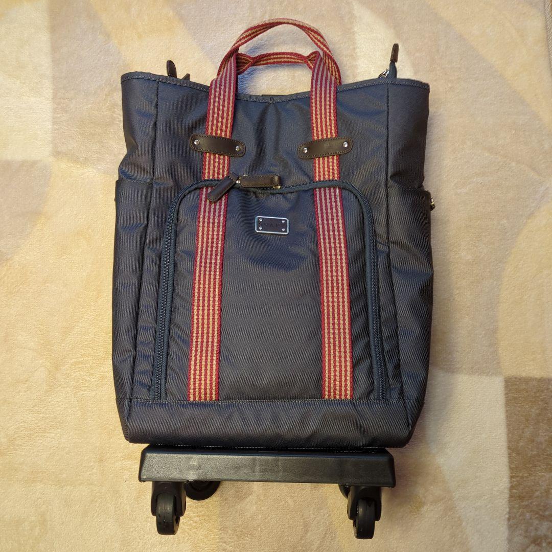 スワニー　SWANY 　キャリーバック　D-169ドゥマーノ(L21)ネイビー