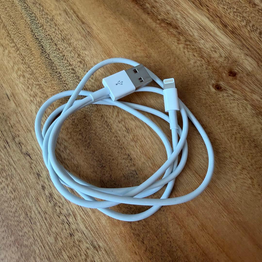 Apple iPhone 13Pro 256GBシエラブルー 本体　SIMフリー