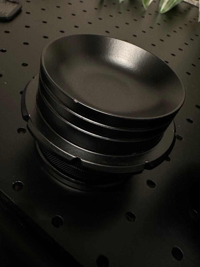 bush de brunt レンコン　ブラック