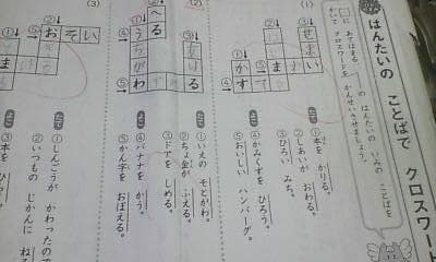 サピックス ＳＡＰＩＸ＊デイリーサピックス＊１年 小１＊国語／全１４回 完全版