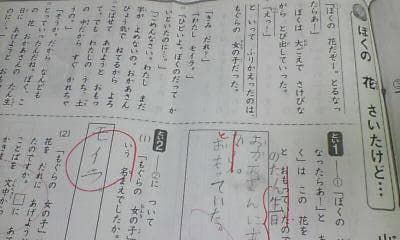 サピックス ＳＡＰＩＸ＊デイリーサピックス＊１年 小１＊国語／全１４回 完全版