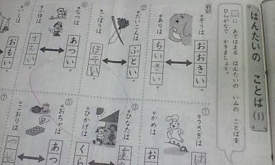 サピックス ＳＡＰＩＸ＊デイリーサピックス＊１年 小１＊国語／全１４回 完全版