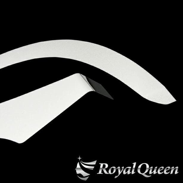 0658 日野 新型 17プロフィア ローキャブ専用 フェンダーパネル 鏡面