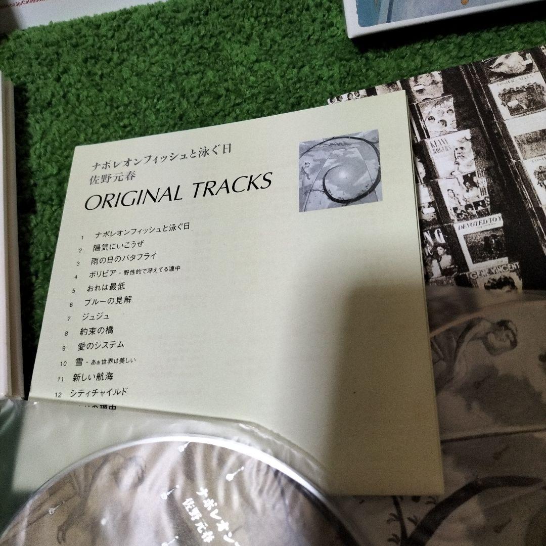 ナポレオンフィッシュと泳ぐ日～限定編集版