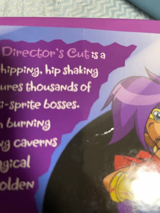 シャンティ　限定版セット　switch　海外版ソフト