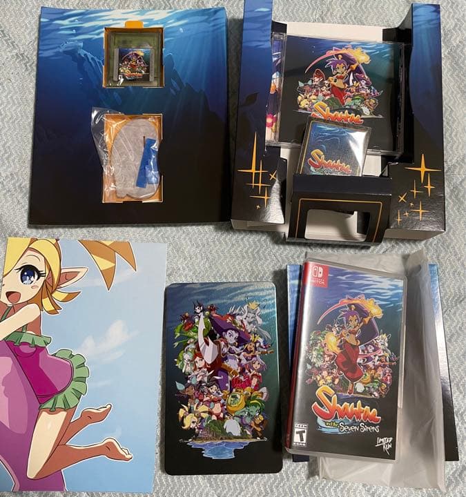 シャンティ　限定版セット　switch　海外版ソフト