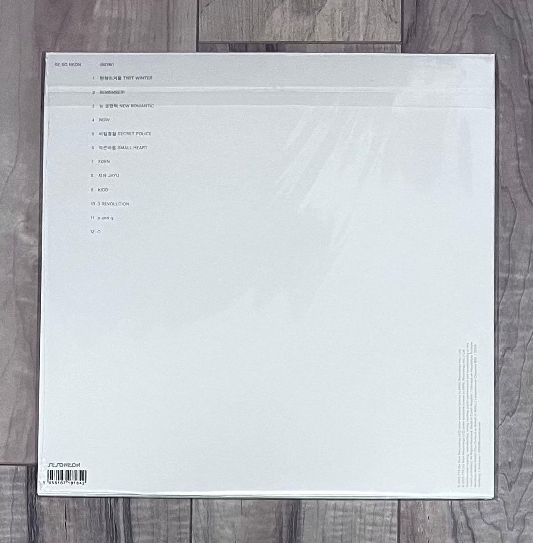 se so neonレコード2枚セット