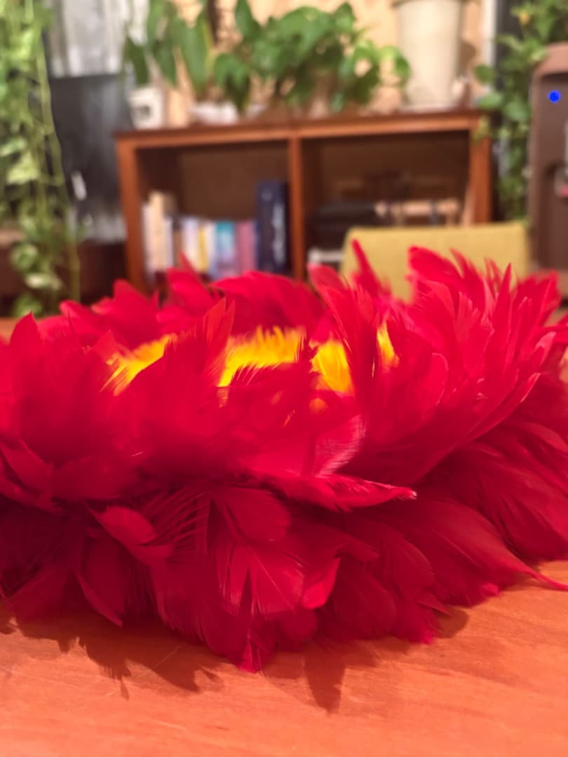 ウリウリの羽根（カバー付き）