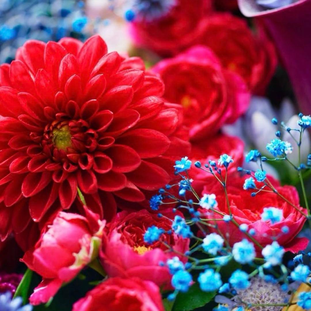 アイドル 12345678