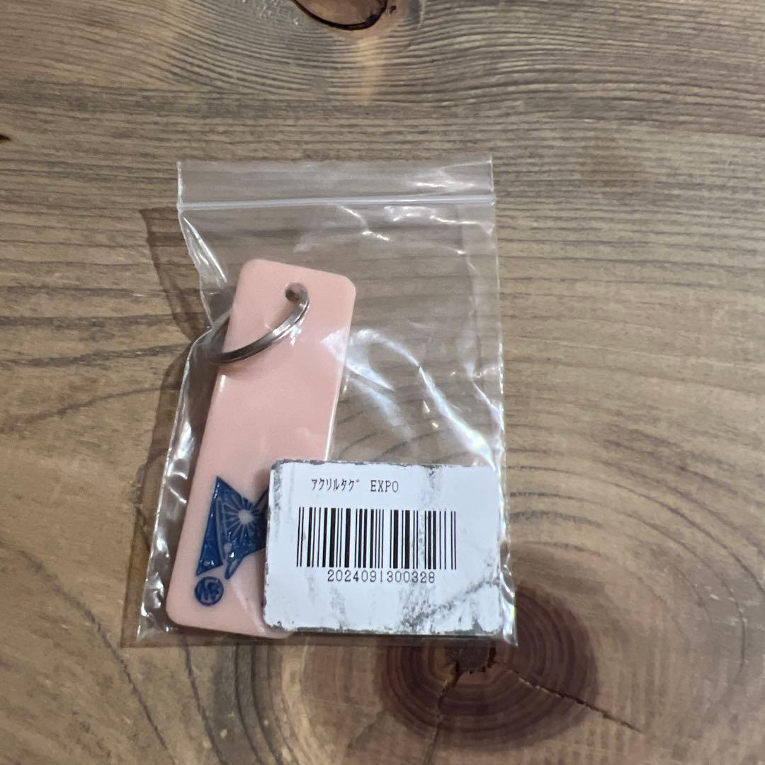 【東京事変】Hard Disk 初回完全限定生産 ＋アクリルタグ（EXPO）付