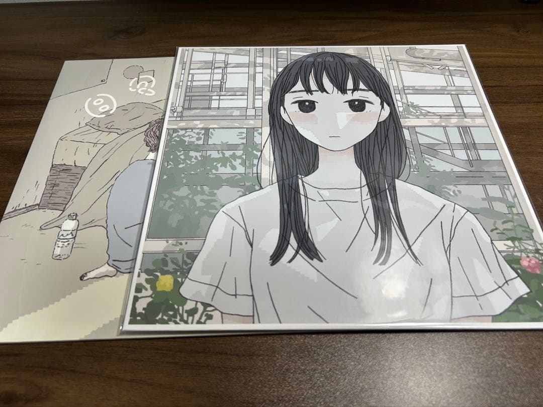 宇宙ネコ子 アナログレコード 日々のあわ 日の当たる場所にきてよ 2枚セット