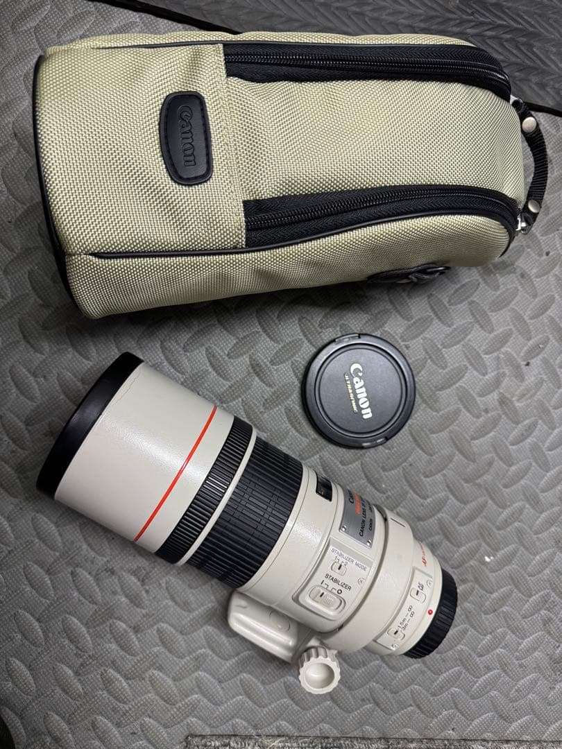 canon単焦点 300mm F4L IS USM