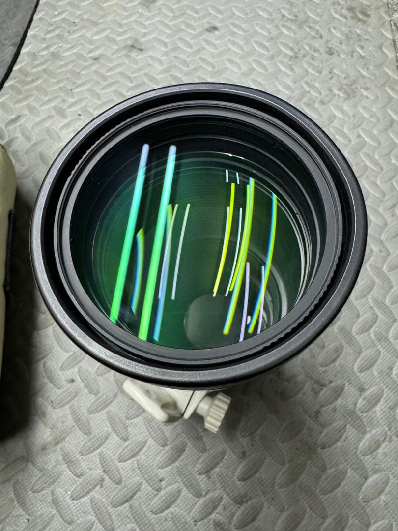 canon単焦点 300mm F4L IS USM