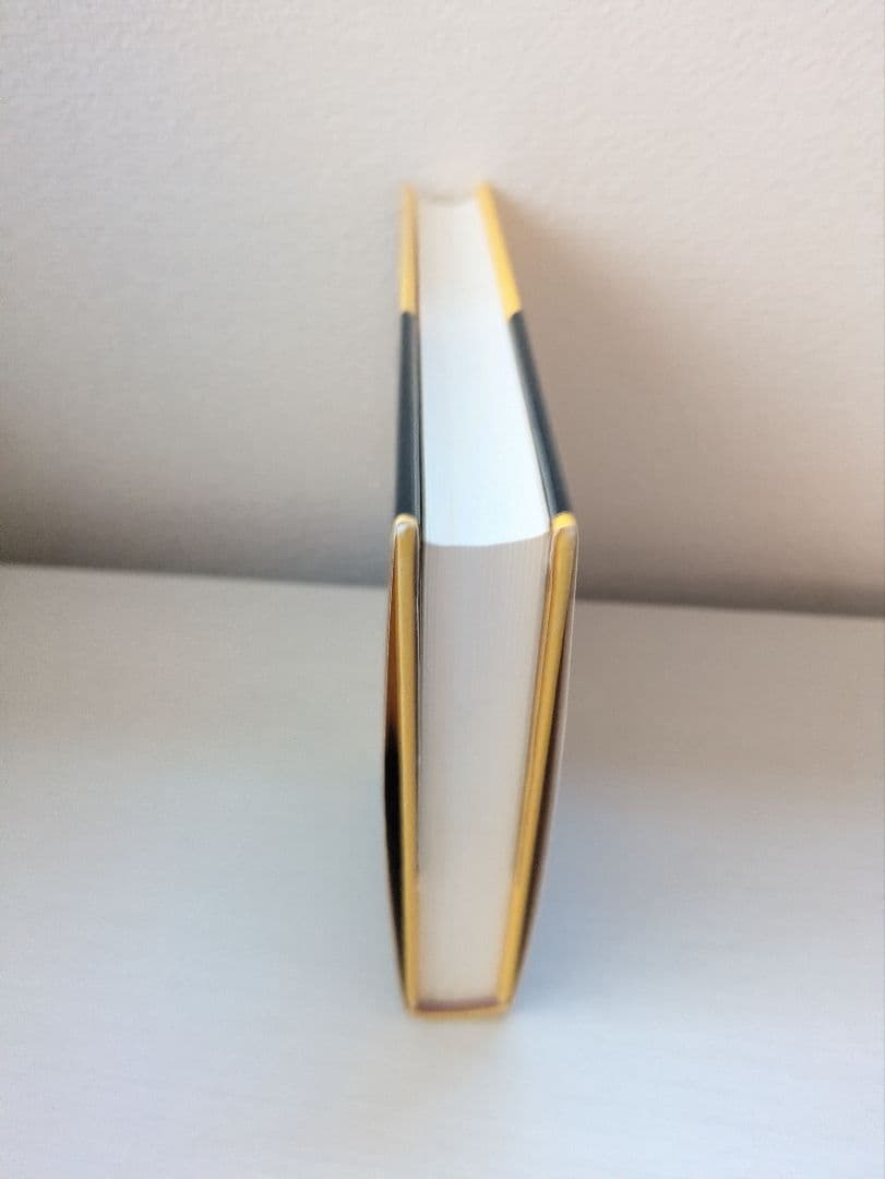 成功と幸せのための4つのエネルギー管理術 メンタル・タフネス　中古