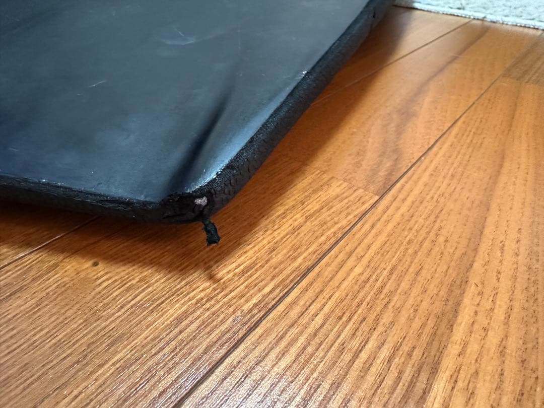 JUSTICE クロコダイルスキン ping pop twin 手渡し可