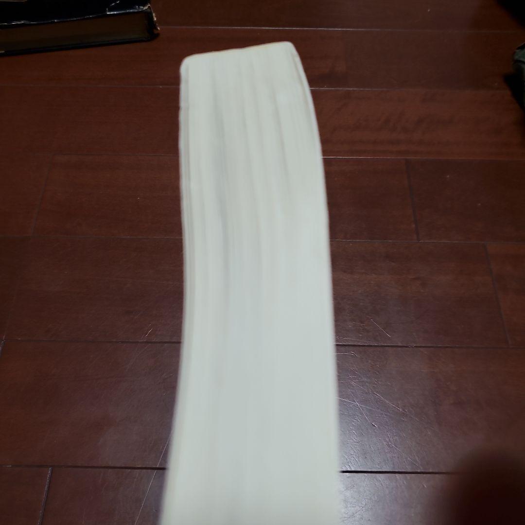 CHAGALL The Lithographs アートブック