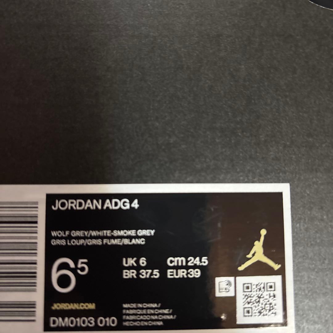 Jordan ゴルフシューズ グレー