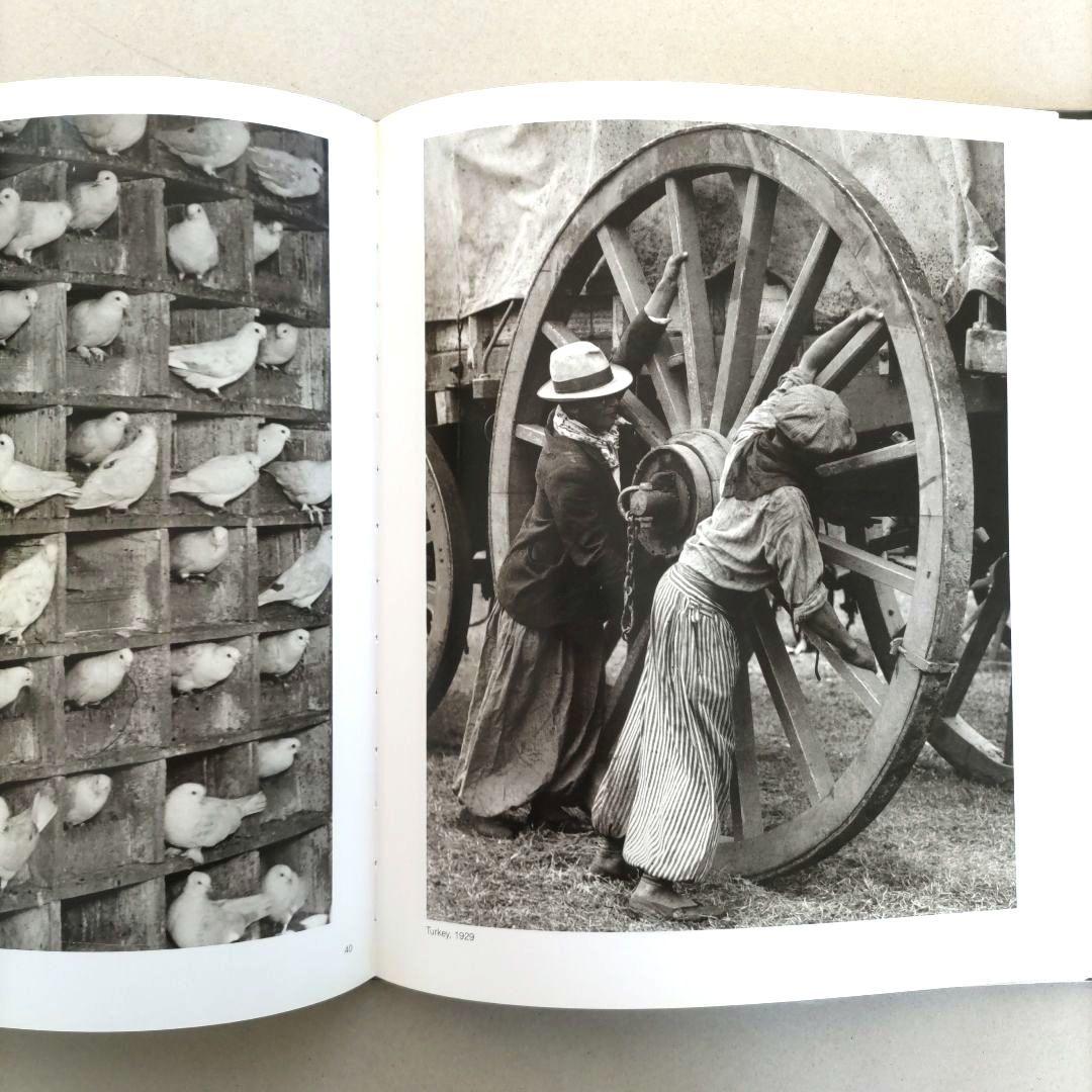 Martin Munkacsi:マーティン・ムンカッチ 写真集 作品集 洋書