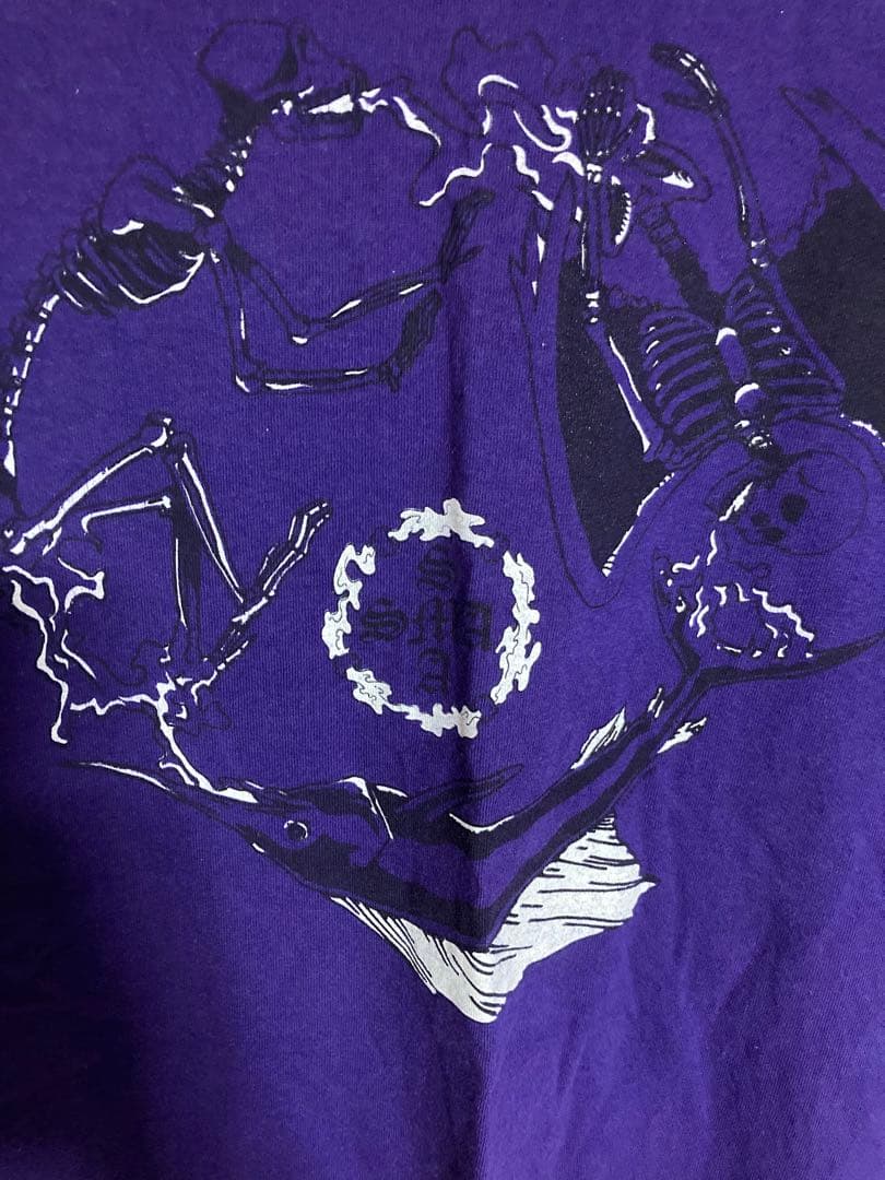 santa monica Tシャツ サンタクルーズ sims vision