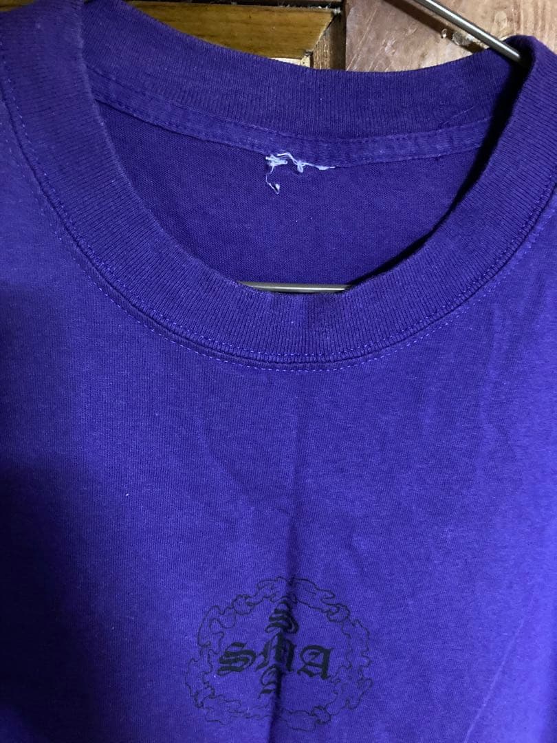 santa monica Tシャツ サンタクルーズ sims vision