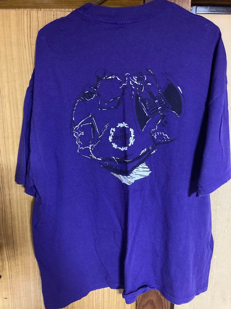 santa monica Tシャツ サンタクルーズ sims vision