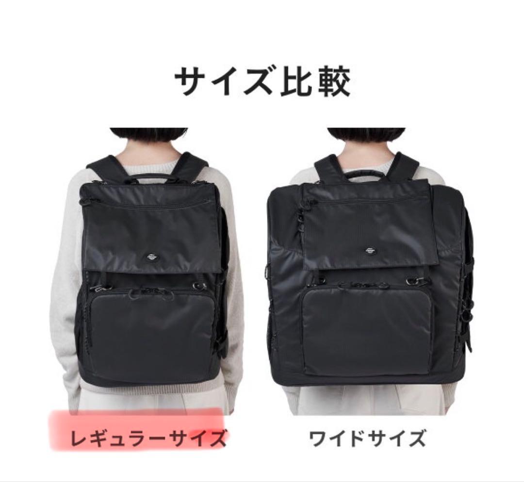 ベアバギー3ウェイバックパックキャリー　レギュラーサイズ