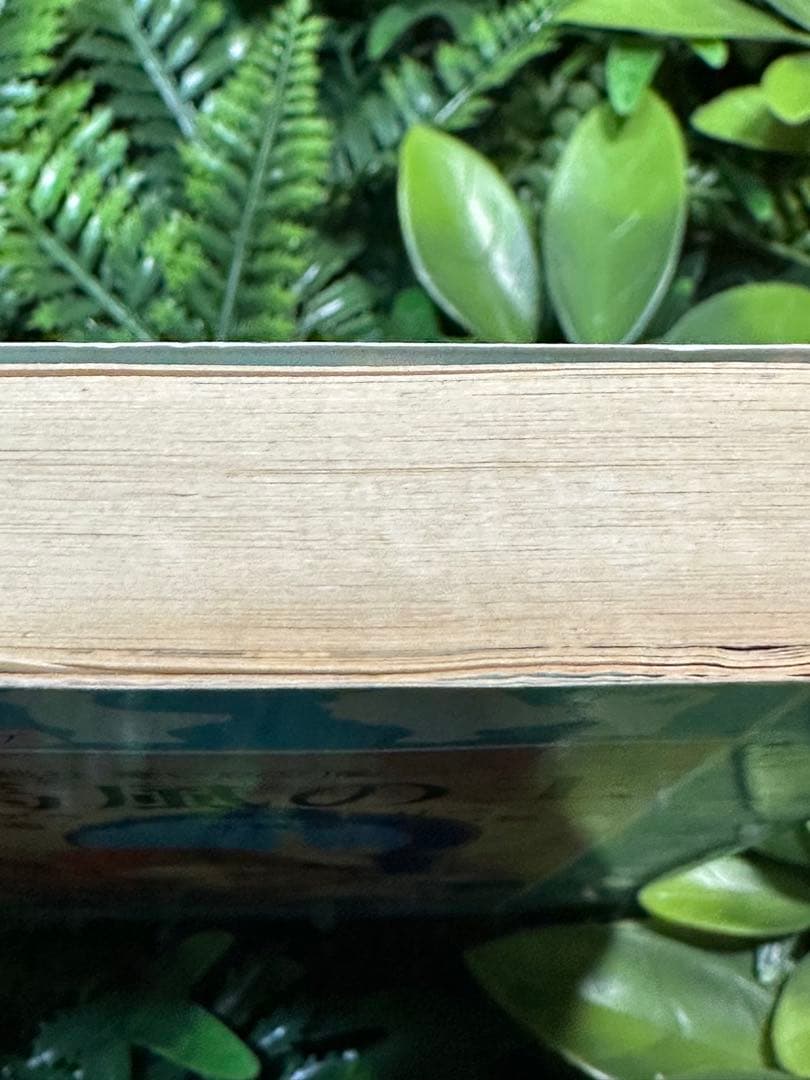 名馬風の王 青い鳥文庫 マーゲライト＝ヘンリー 那須辰造訳 児童書