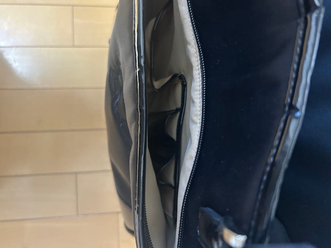 【値下げ】SWANY キャリーバッグ ショッピングカート　ウォーキングバッグ