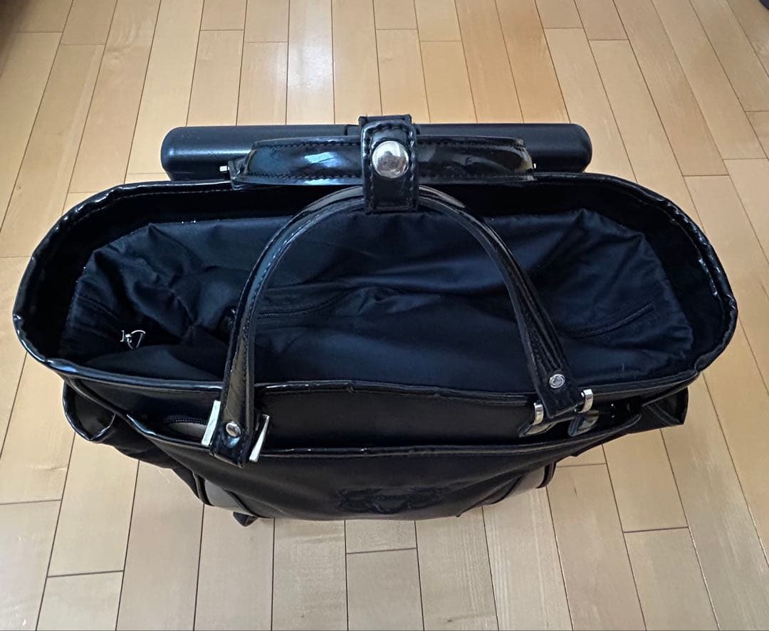 【値下げ】SWANY キャリーバッグ ショッピングカート　ウォーキングバッグ