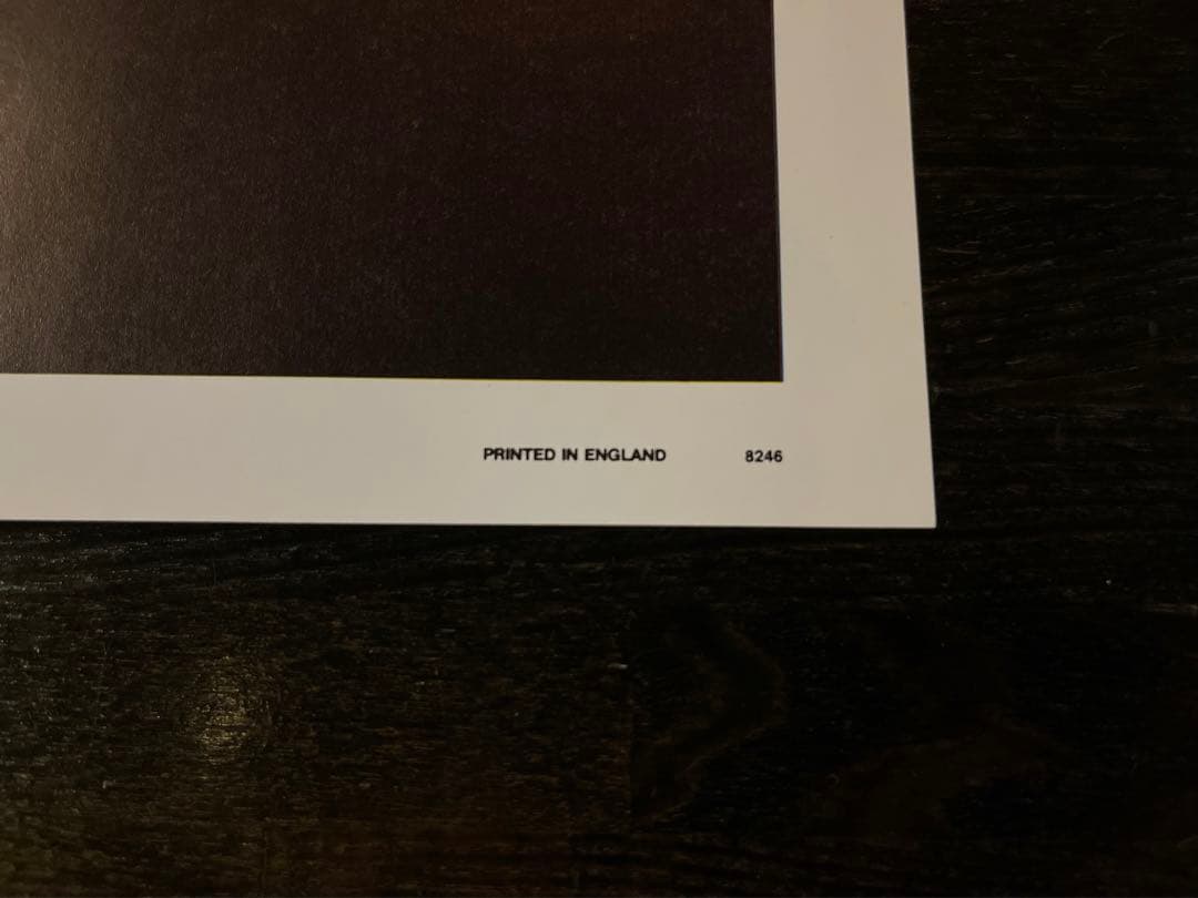 NIRVANA GRUNGE IS DEAD 限定版セット