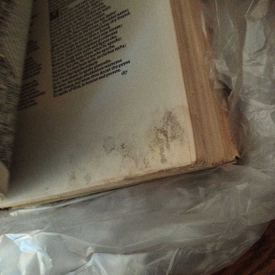 アート・デザイン・音楽 The Works of Geoffrey Chaucer