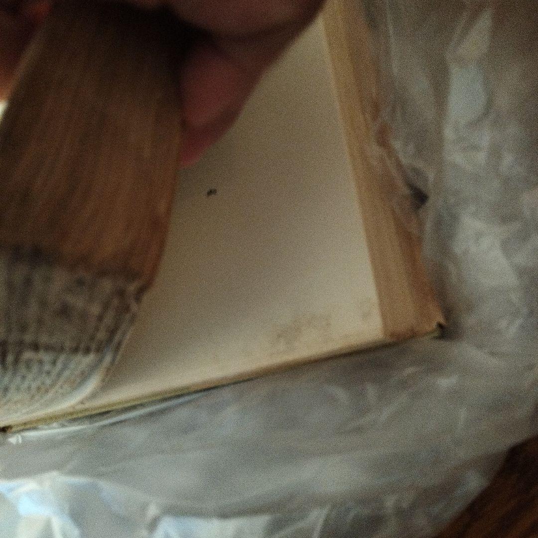 アート・デザイン・音楽 The Works of Geoffrey Chaucer