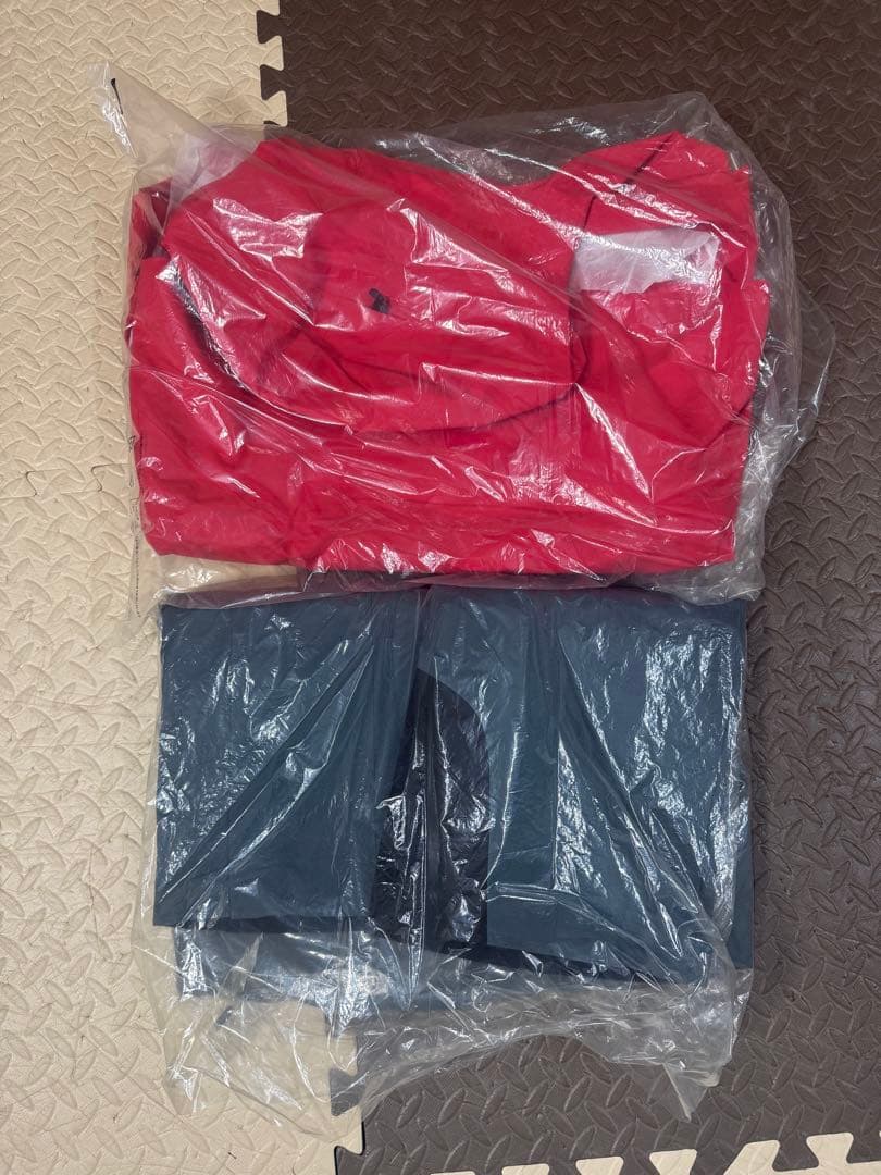 Goldwin GORE-TEX スキーウェア レディース 24ー25新作モデル