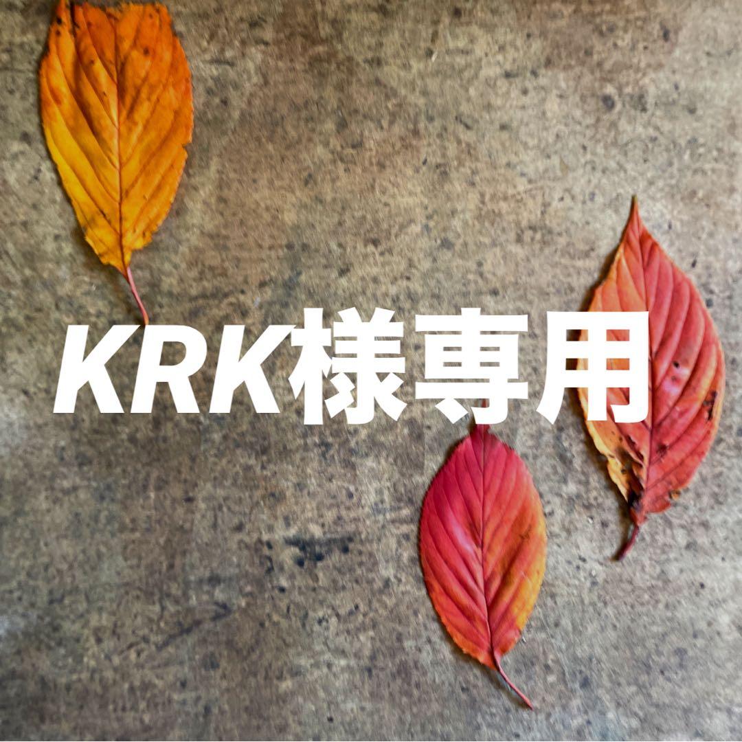 KRK おまとめ同梱