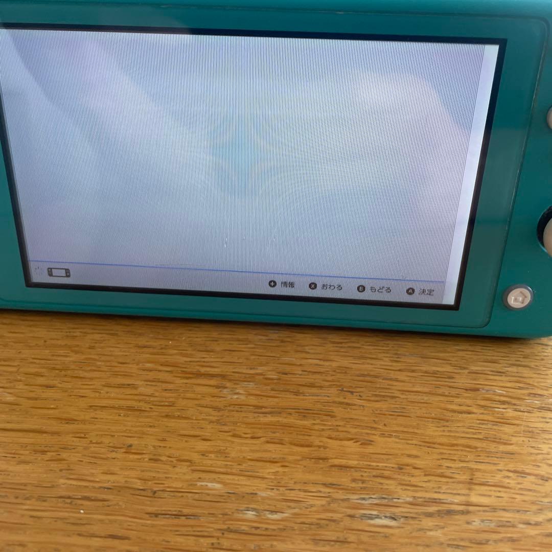 【ジャンク➕付属品追加】Nintendo Switch Lite ターコイズ