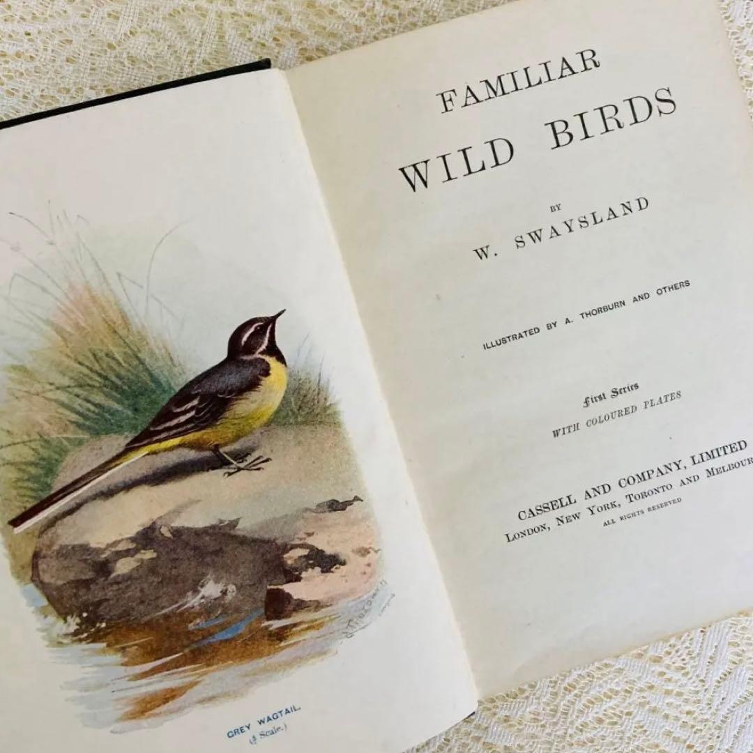 洋書　古書　Familiar Wild Birds 1&2巻　アンティーク鳥図鑑