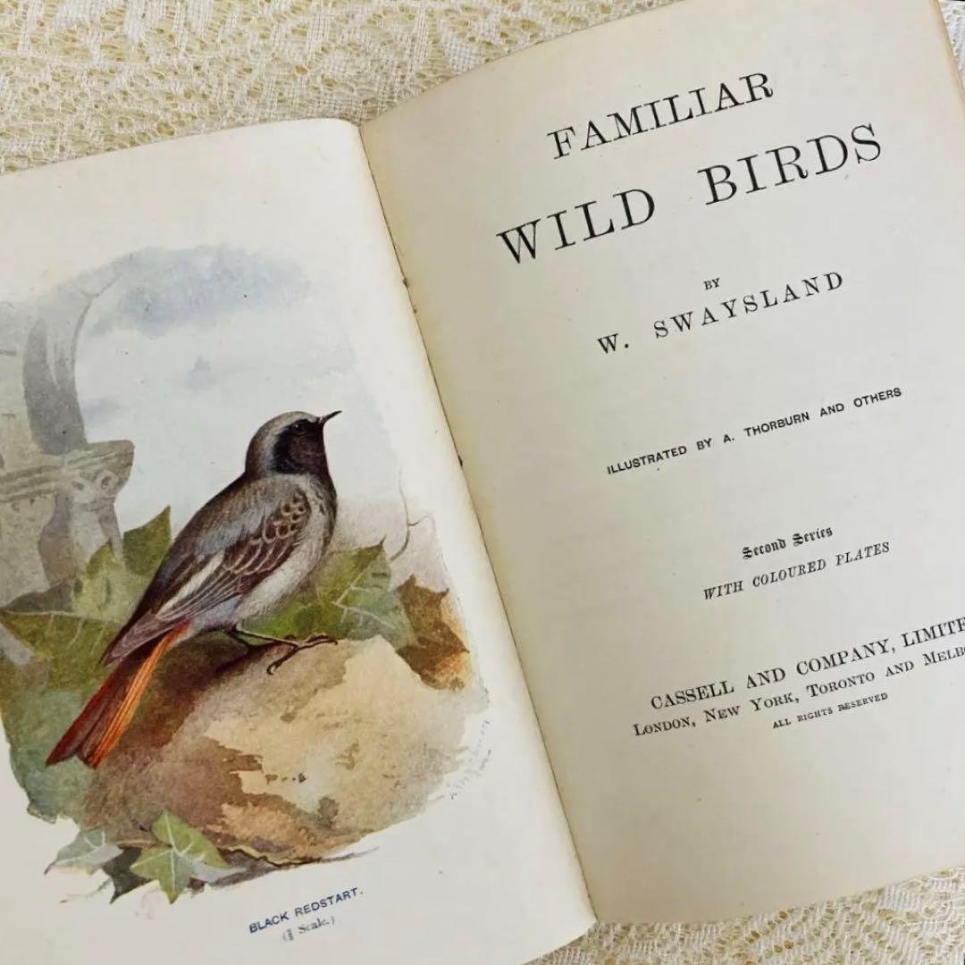 洋書　古書　Familiar Wild Birds 1&2巻　アンティーク鳥図鑑