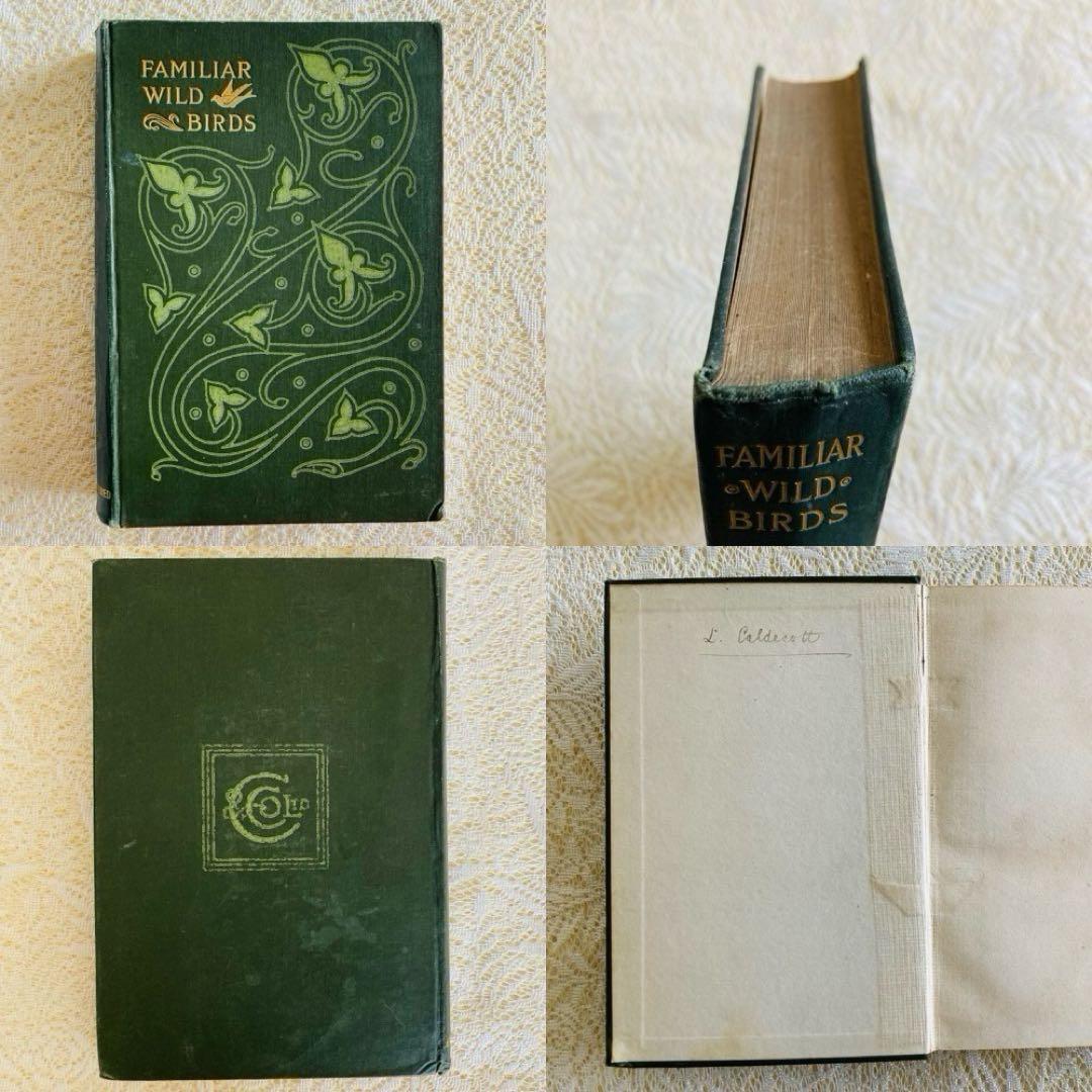 洋書　古書　Familiar Wild Birds 1&2巻　アンティーク鳥図鑑