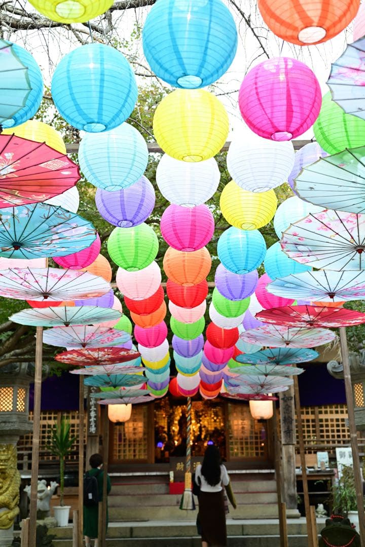 VILTROX AF 50/2.0 AIR Zマウント単焦点レンズ